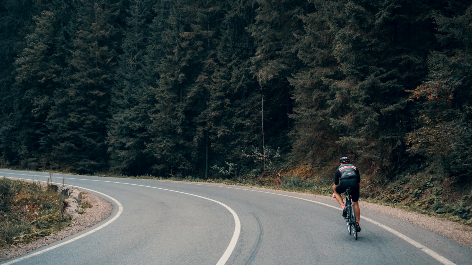 A cyclist rides a road bike around a bend in a forest road
